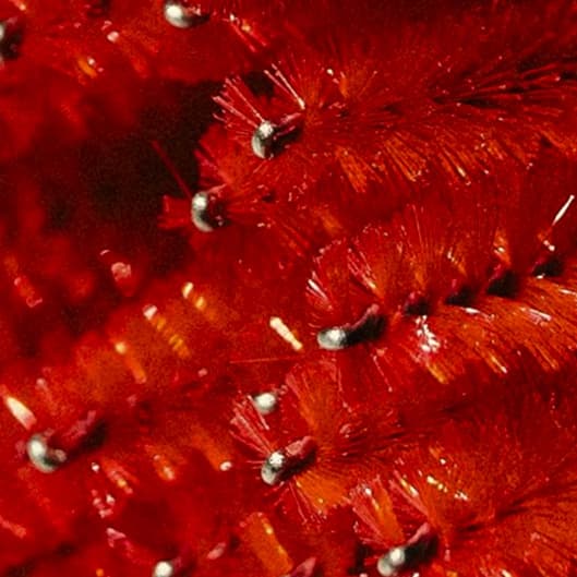 Whispy lash extension package